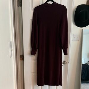 Banana Republic Deep Burgundy Long Sleeve Dress